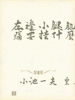 左边小腿肌肉酸痛要挂什么科