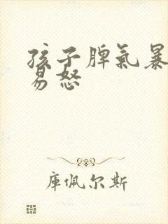 孩子脾气暴躁的易怒封面