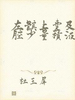 左髌上囊及关节腔少量积液
