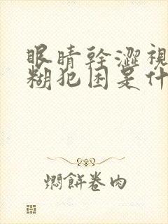 眼睛干涩视力模糊犯困是什么原因造成的
