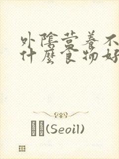 外阴营养不良吃什么食物好