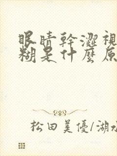 眼睛干涩视力模糊是什么原因造成的眼封面