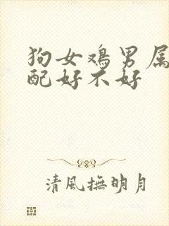 狗女鸡男属相婚配好不好