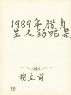 1989年腊月生人的蛇是什么命封面