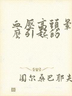 血压高头晕是怎么引起的封面