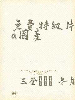 免费特级片aaa国产封面