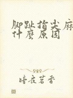 脚趾指尖麻木是什么原因