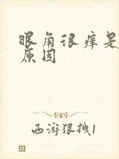 眼角很痒是什么原因封面