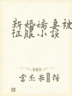 新婚娇妻被巨茎征服小说封面