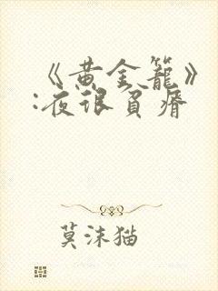 《黄金笼》作者:夜很贫瘠