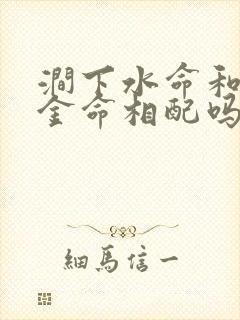 涧下水命和白蜡金命相配吗