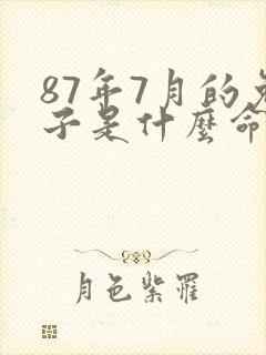 87年7月的兔子是什么命