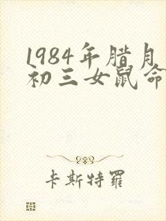 1984年腊月初三女鼠命运怎样