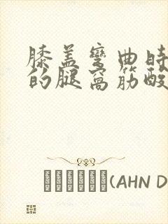 膝盖弯曲时后面的腿窝筋酸疼怎么回事