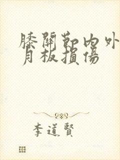 膝关节内外侧半月板损伤