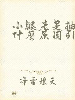 小腿老是抽筋是什么原因引起的女性