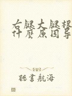 右腿大腿根疼是什么原因导致的