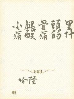 小腿骨头里面酸痛酸痛的什么原因封面
