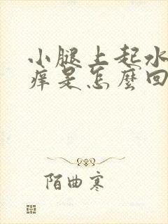 小腿上起水泡很痒是怎么回事