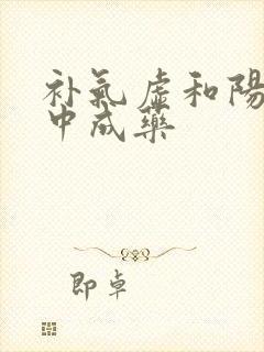 补气虚和阳虚的中成药