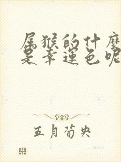 属猴的什么颜色是幸运色呢