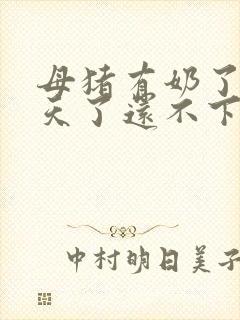母猪有奶了三四天了还不下封面