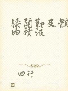 膝关节及髌上囊内积液