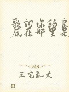 歌词你的良心到底在哪里是什么歌