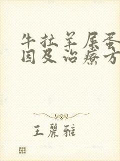 牛拉羊屎蛋的原因及治疗方法