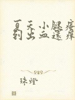 夏天小腿瘙痒抓到出血还痒