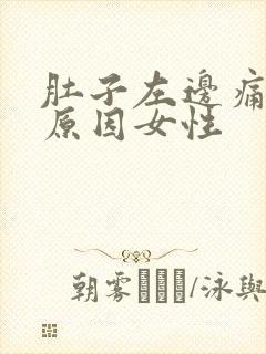 肚子左边痛什么原因女性