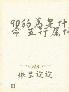 90的马是什么命 五行属什么