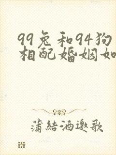 99兔和94狗相配婚姻如何