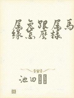属兔跟属马的姻缘怎么样