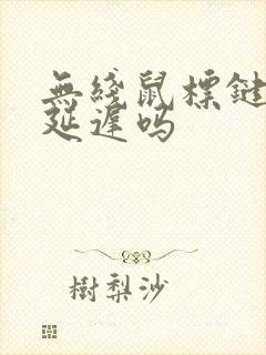 无线鼠标键盘有延迟吗