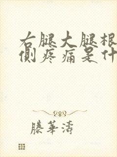 右腿大腿根部内侧疼痛是什么原因封面
