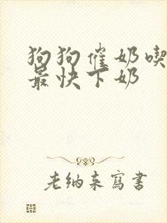狗狗催奶吃什么最快下奶