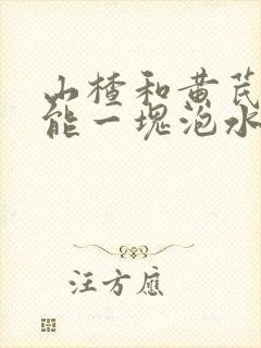 山楂和黄芪丹参能一块泡水喝吗