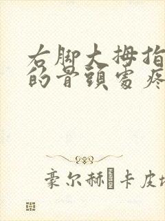 右脚大拇指突出的骨头处疼封面