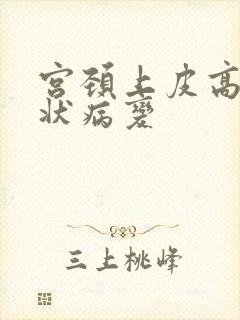 宫颈上皮高度鳞状病变