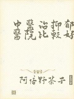 中医治抑郁哪个医院比较好