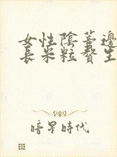 女性阴蒂边上张长米粒赘生物