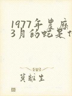 1977年农历3月的蛇是什么命