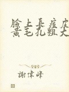 脸上长痘皮肤暗黄毛孔粗大怎么办?