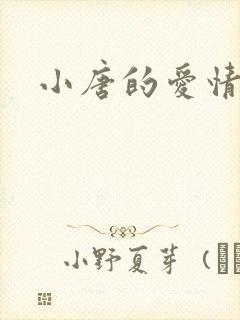 小唐的爱情史封面