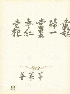 党参当归黄芪枸杞红枣一起吃的功效与作用