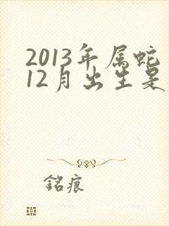 2013年属蛇12月出生是什么命