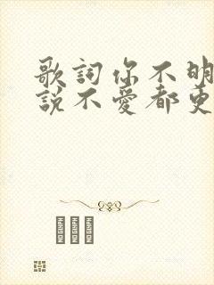 歌词你不明白我说不爱都更加爱