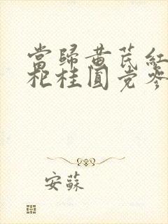 当归黄芪红枣枸杞桂圆党参泡水喝有什么功效