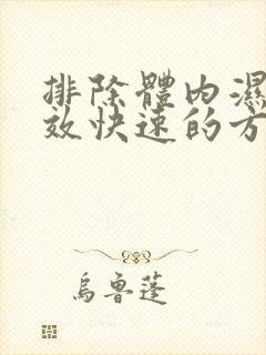 排除体内湿气有效快速的方法